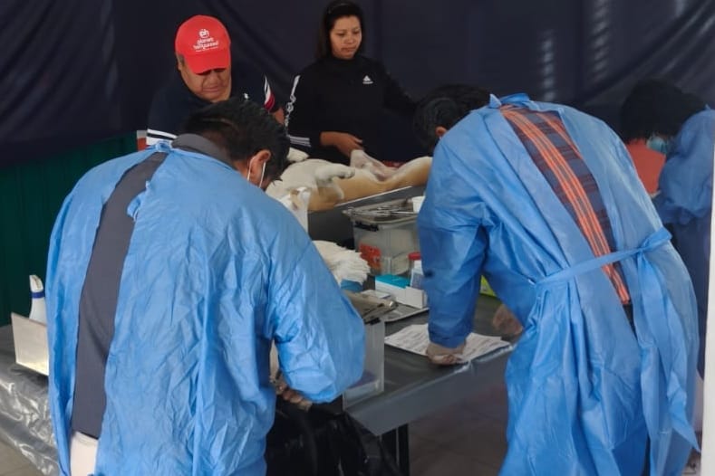 Con amplia participación ciudadana arrancó en Santa María Ixtulco la Campaña de Esterilización Gratuita  canina y felina